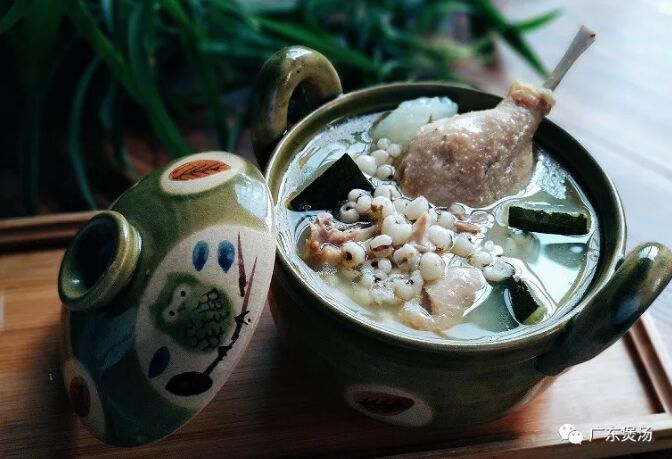冬瓜薏米鸭汤的做法