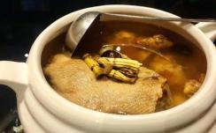 石斛老鸭汤的做法