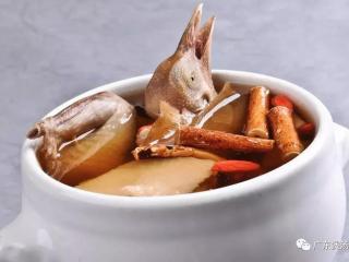 五指毛桃炖乳鸽汤
